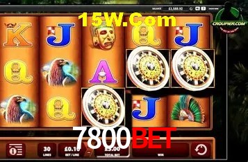Security Systems 7800Bet